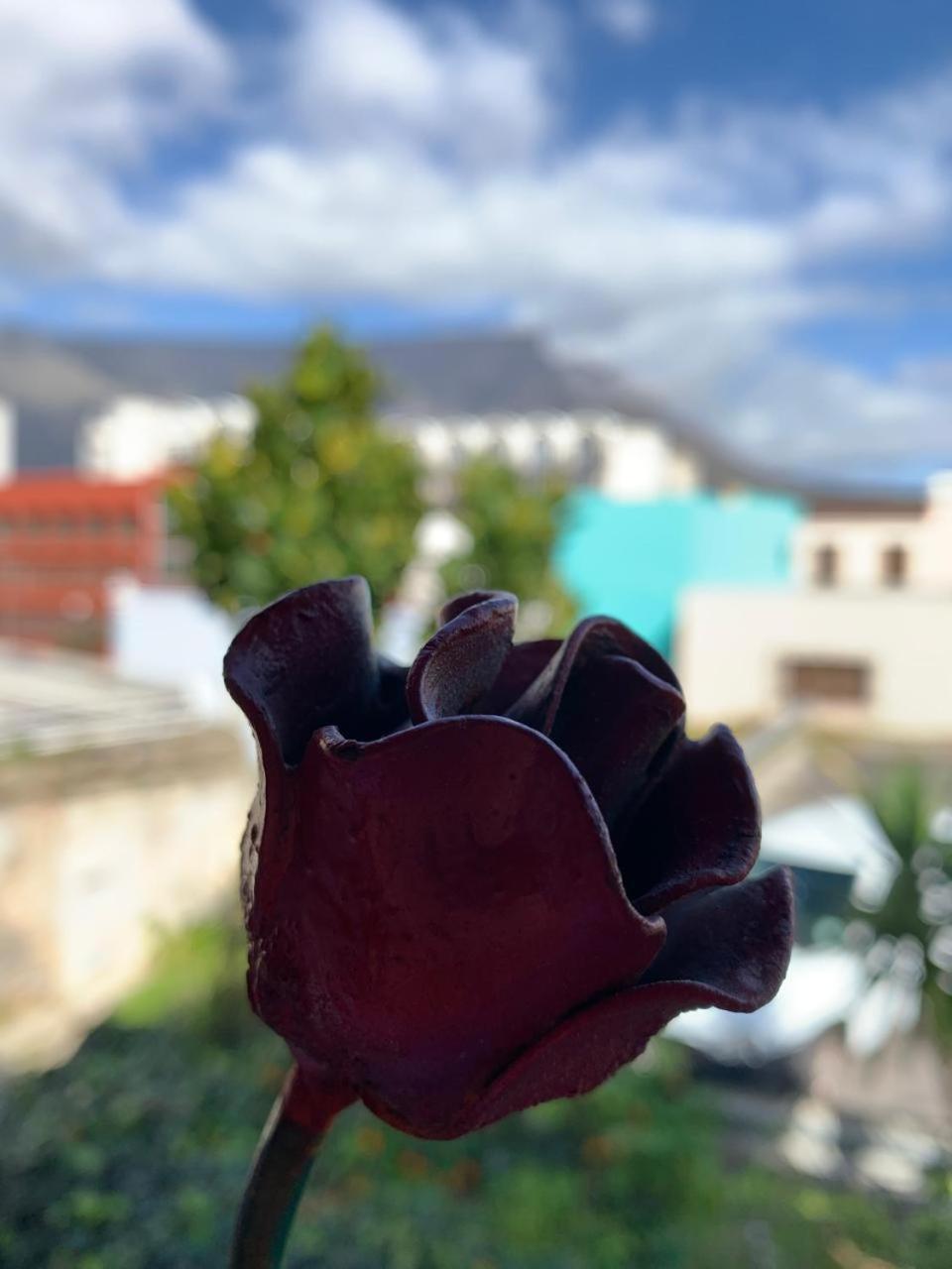 La Rose B&B Città del Capo Esterno foto